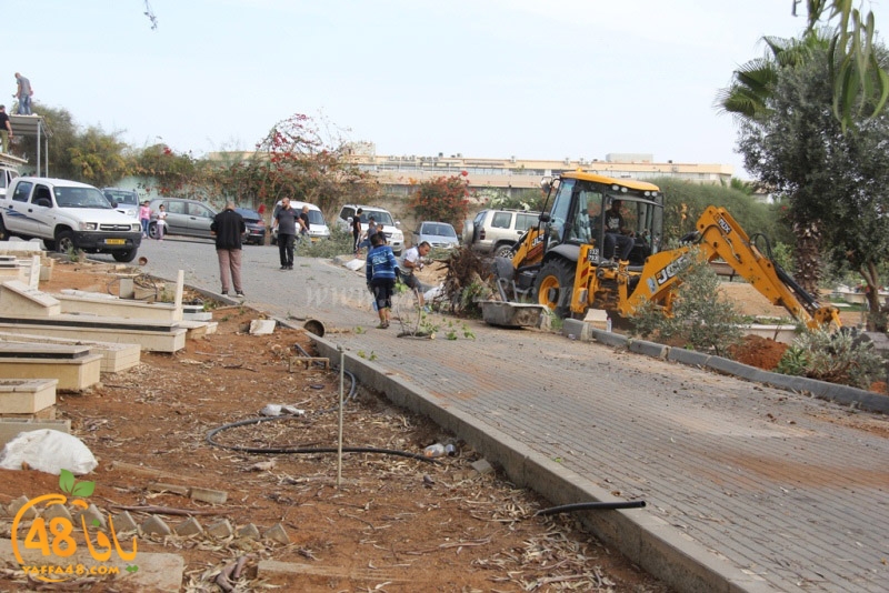 tasoooi3i1412 (42).JPG